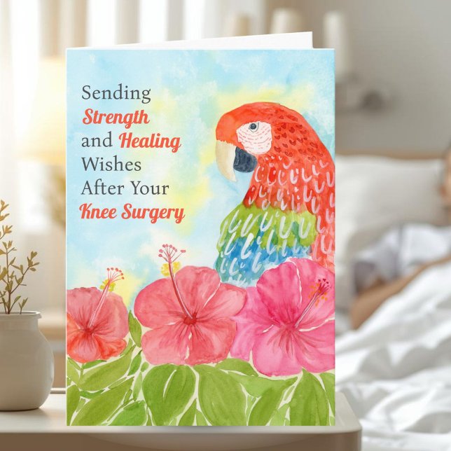 Knee Surgery Healing with Scarlet Macaws, Hibiscus Kort (Skapare uppladdad)