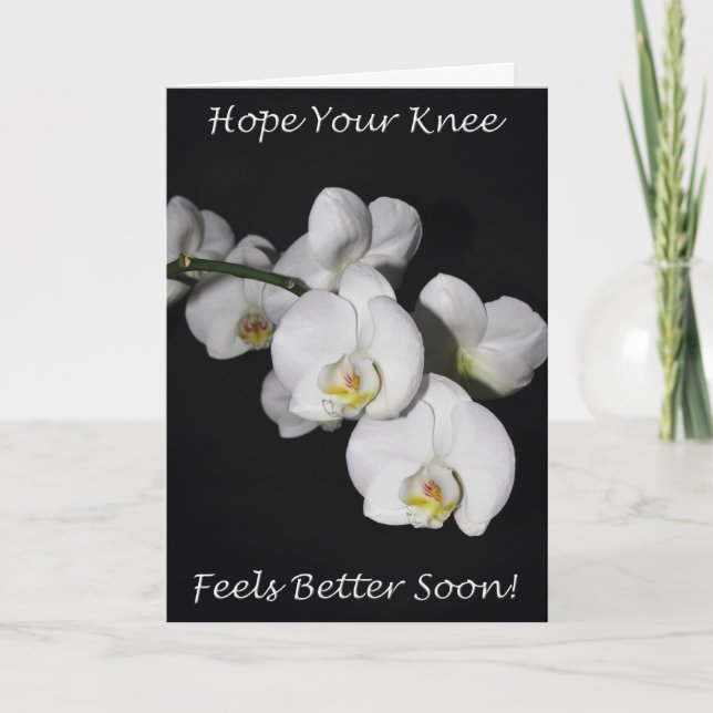 Knee Surgery White Orchid Kort (Framsida)