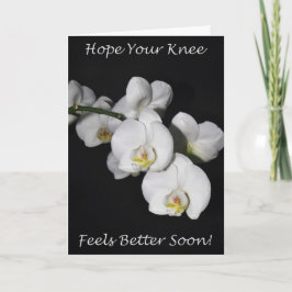 Knee Surgery White Orchid Kort