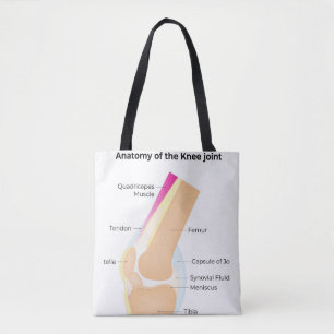 Kneets anatomi tygkasse