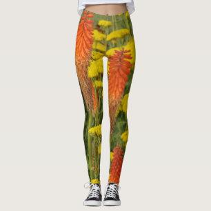 Kniphofia Uvaria Orange Flowers Legging