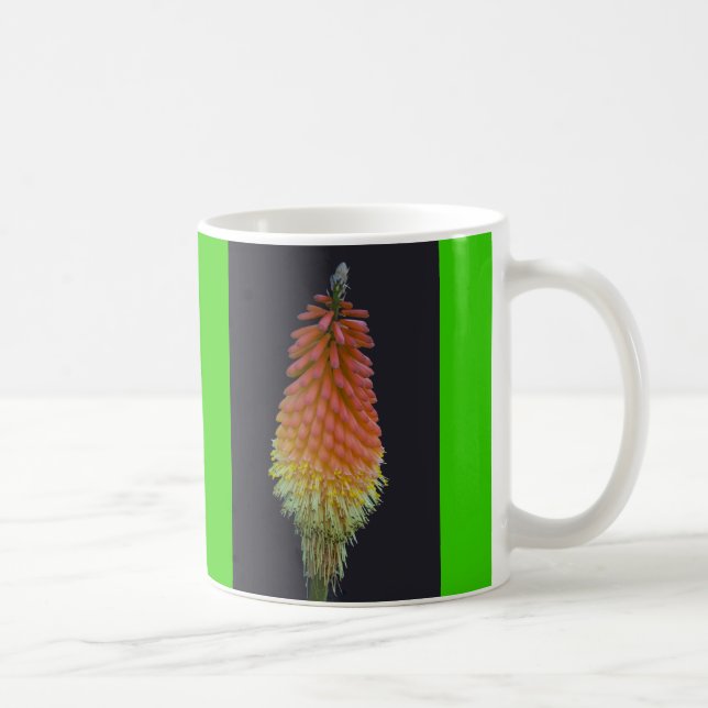 Kniphophia nr. 219 kaffemugg (Höger)
