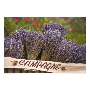 Knippen lavendel till salu, Vence, Provence, Fototryck