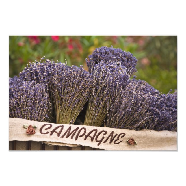 Knippen lavendel till salu, Vence, Provence, Fototryck (Framsidan)