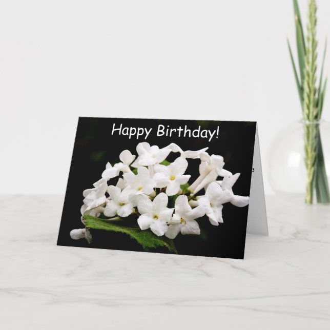 Knippor av vita blommor kort (Framsida)