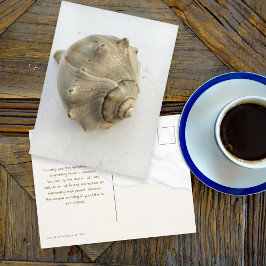 Knobbed Whelk Seashell Photography Postcard Vykort