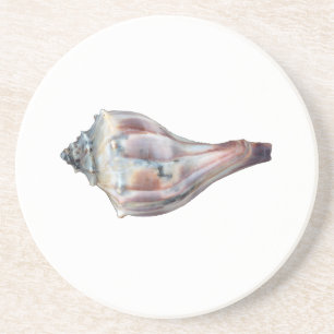 Knobbed Whelk snäckan Underlägg Sandsten