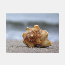 Knobby Whelk välkomnandet