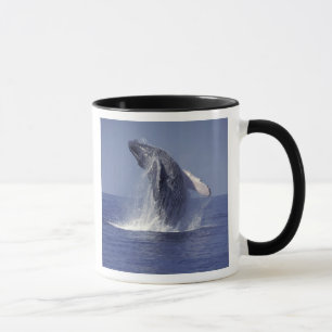Knölval hoppande (Megaptera Mugg