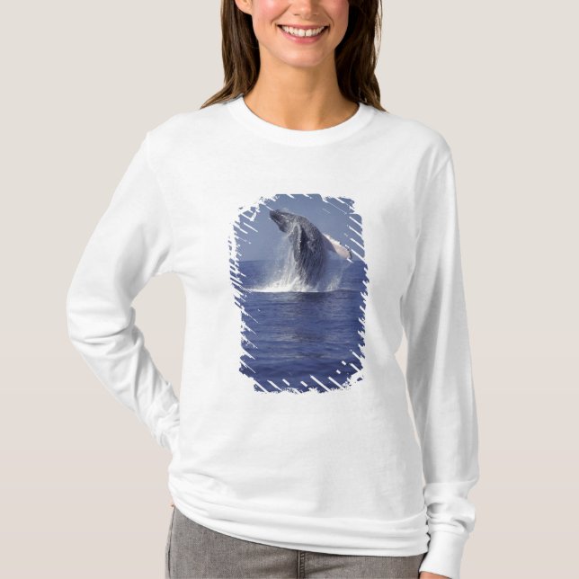 Knölval hoppande (Megaptera T Shirt (Framsida)