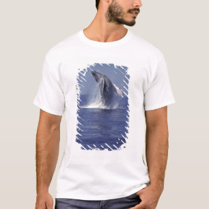 Knölval hoppande (Megaptera Tee Shirt