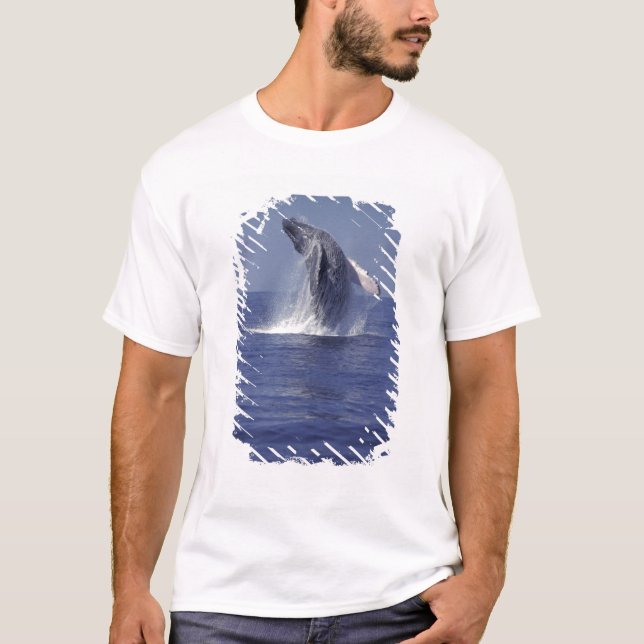 Knölval hoppande (Megaptera Tee Shirt (Framsida)
