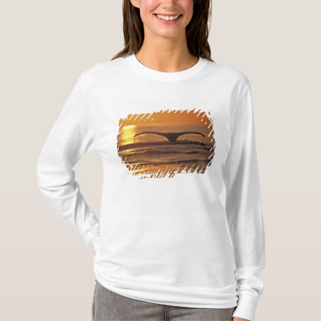 Knölval Tee Shirt (Framsida)