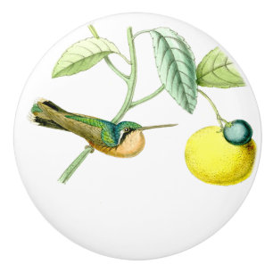 Knopp för frukt för djur för