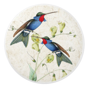 Knopp för handtag för Hummingbirdfågelblommor d