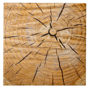 Knotty Wood Slice of Life Kakelplatta