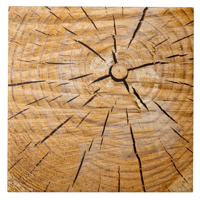 Knotty Wood Slice of Life Kakelplatta (Framsidan)