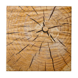 Knotty Wood Slice of Life Kakelplatta