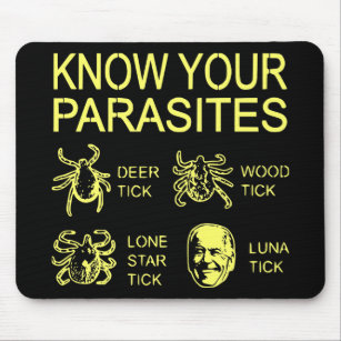 Know your Parasites Biden Luna Tick # Musmatta