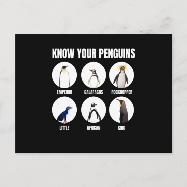 Know Your Penguins Penguin Snö Bird Vykort (Framsida)