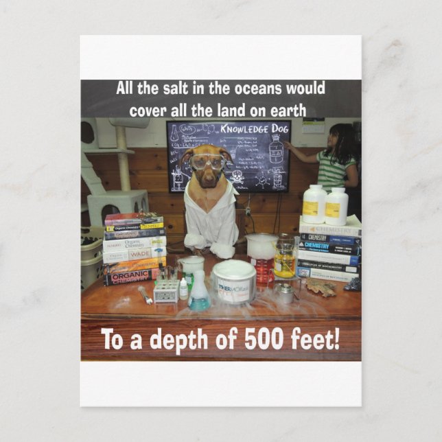 Knowledge Hund Salt in the Oceans Vykort (Framsida)