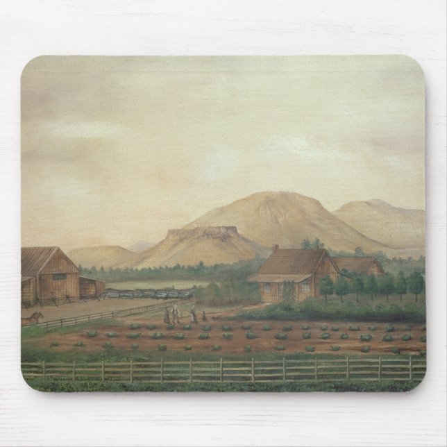 Knox ranch, Idaho Musmatta (Framsidan)