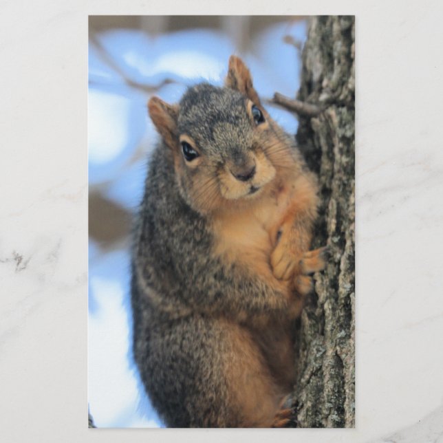 Knubbig Brevpapper (Framsida)