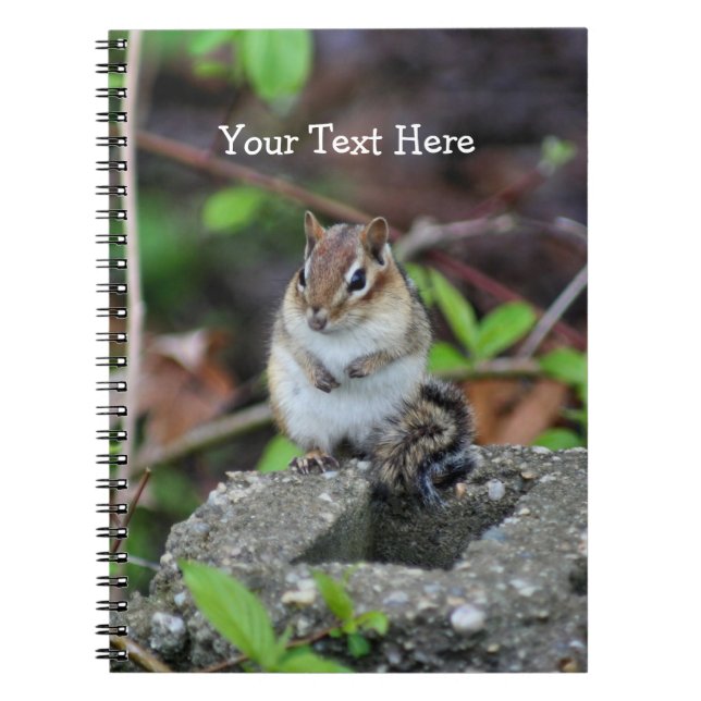 Knubbig Chipmunk Nature Art Notebook Anteckningsbok Med Spiral (Framsidan)