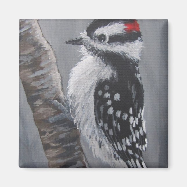 Knubbig Downy Woodpecker - Magnet (Framsidan)