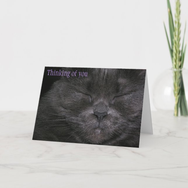 Knubbig Kattunge tänker på dig Kort (Framsida)
