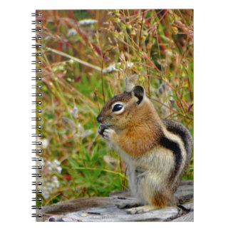 Knubbig söt chipmunk på trästump anteckningsbok med spiral