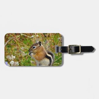 Knubbig söt chipmunk på trästump bagagebricka