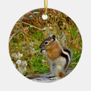 Knubbig söt chipmunk på trästump julgransprydnad keramik