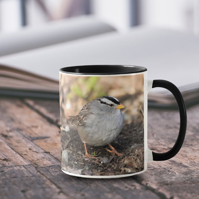 Knubbig White-Crowned Sparrow i Winter Sol Mugg (Chubby White-Crowned Sparrow in the Winter Sun 11 oz Coffee Mug Cover Photo.)