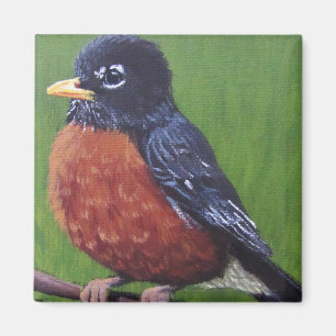 Knubbiga Robin - magnet