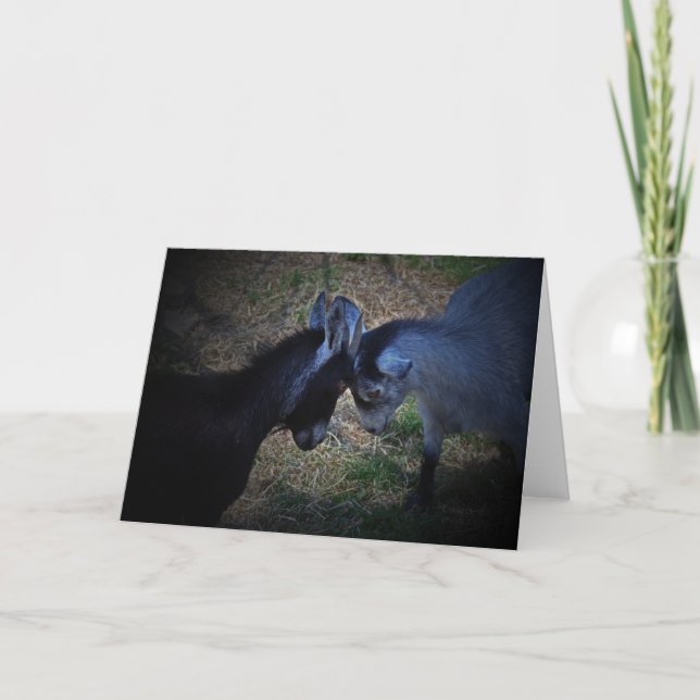 Knuffa huvudkortet kort (Framsida)