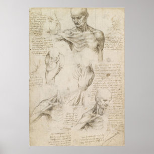 Knuffar hånglar den Anatomical teckningen för Poster