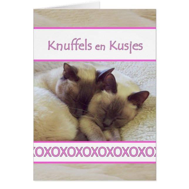 Knuffels en Kusjes, Hug och Kiss på nederländska Hälsningskort (Framsidan)
