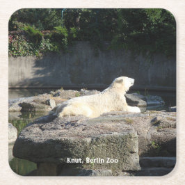 Knut, Polar Bear Berlin Zoo Underlägg Papper Kvadrat