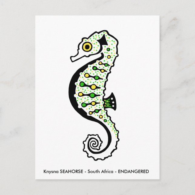 Knysna SEAHORSE-Animal Lover - Natur - Wildlife Vykort (Framsida)