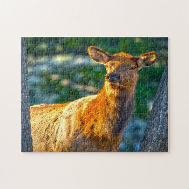 Ko Elk Montana. Pussel (Horisontell)
