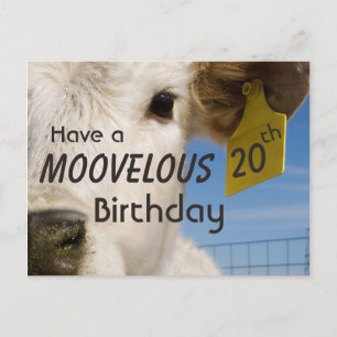 Ko Geburtstag Nummer Vykort