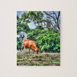 KO & KVARN LANTLIGA QUEENSLAND AUSTRALIEN PUSSEL