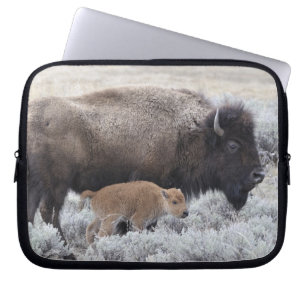 Ko och kalv Bison, Yellowstone Laptop Fodral