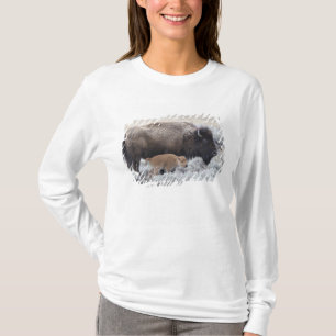 Ko och kalv Bison, Yellowstone T-shirt