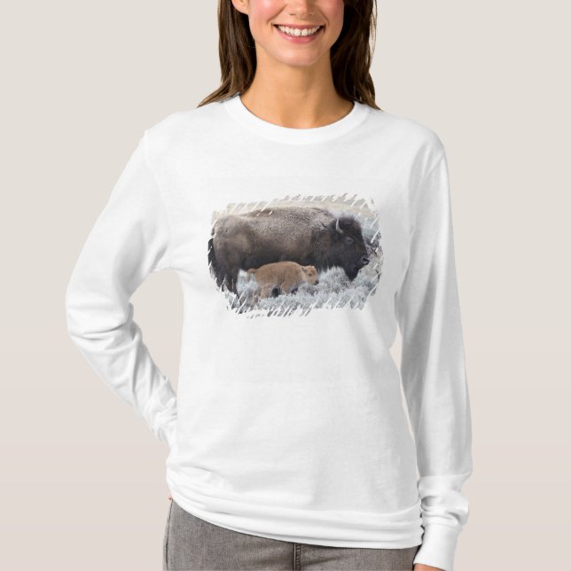 Ko och kalv Bison, Yellowstone T-shirt (Framsida)
