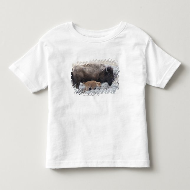 Ko och kalv Bison, Yellowstone Tee (Framsida)