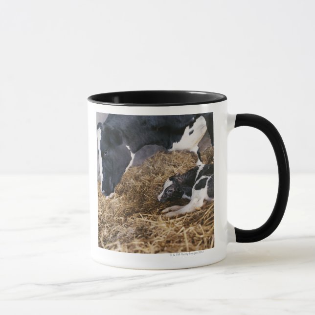 Ko och kalv i hö mugg (Höger)