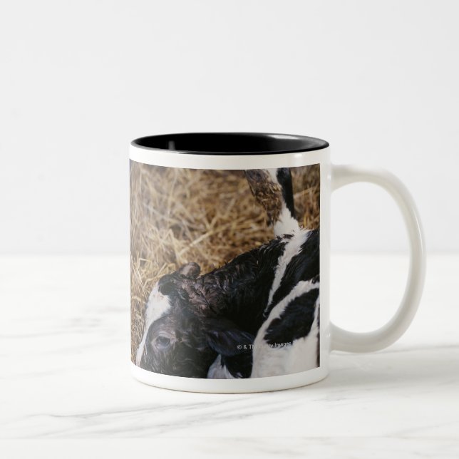 Ko och kalv i hö Två-Tonad mugg (Höger)