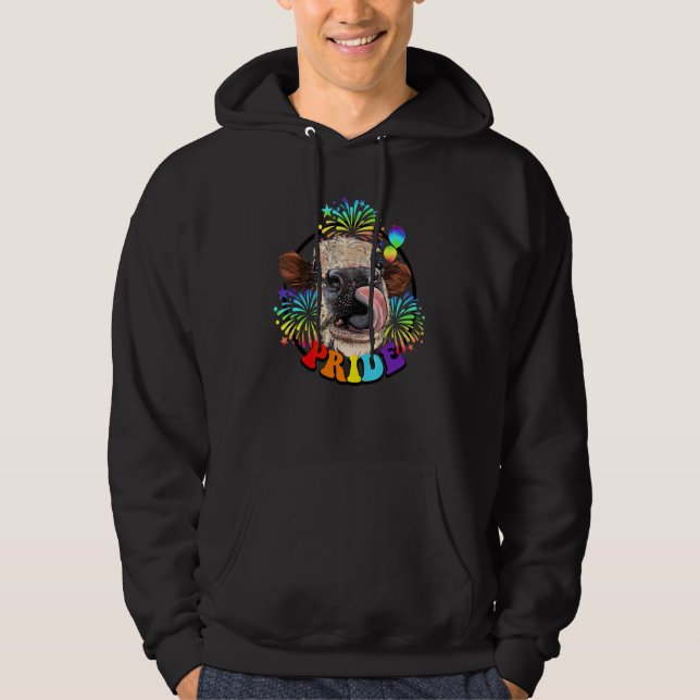 Ko Pride Regnbåge Lgbt Lgbtq Allierad Fyrverkerier Hoodie (Framsida)